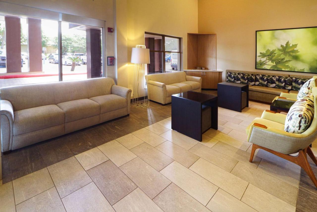 Wyndham Garden Mcallen At La Plaza Mall Zewnętrze zdjęcie